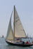 140621 BLUE DOLPHIN GBR1397Y IMG_7514