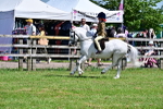 SBM_06084