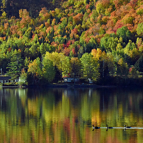 Autumn Foliage near Edmundston, NB, Canada