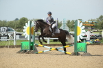 SBM_011325