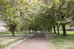 Bristol landscape_Castle Green, Bristol _B0215_Ian Wade