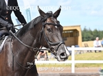 BPP_7195