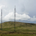 Antennae