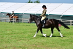 SBM_03829