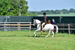 SBM_13902