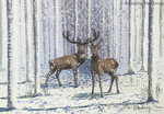 Deer in the Woods