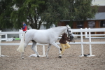 SBM_23079