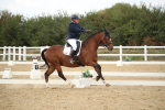 SBM_002976