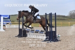 BPP_8270