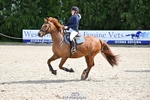 Cls 5+6 80cm Start to 1pm portfolio