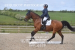 BPP_6528