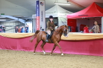 SBM_05297