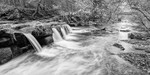 The River Derwent, Thornhill