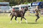 SBM_00699