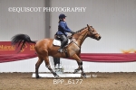 BPP_6177