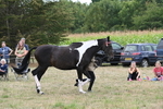WJ6_5647