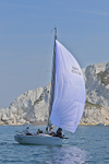 180707 SCALLION GBR2522R 1Y3A8346