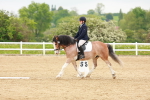 SBM_005953