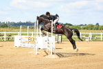 SBM_003065