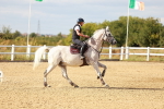 SBM_007880