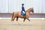SBM_003380