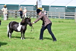 SBM_03513