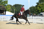 SBM_58175