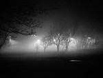 Night Light 01