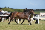 DSC07565