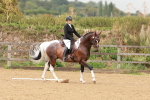 SBM_001908