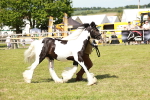 SBM_08652