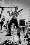 Teaspoonriverneck-105
