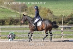 BPP_9326