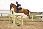 SBM_026886