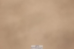 250629-132336-12126