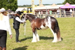 SBM_08600