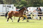 SBM_02271