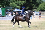 WJ7_3728