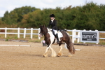SBM_009326