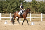 SBM_015086