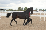 SBM_06945