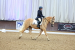 SBM_000737