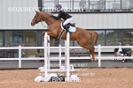 BPP_3283