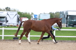 SBM_05040