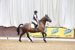 SBM_000994