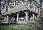 23Mar2013: Photo 82