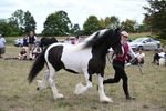 WJ6_5509