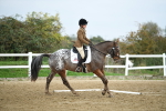 LAD_5461