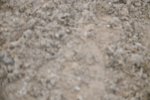SBM_003024