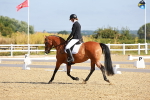 SBM_008342